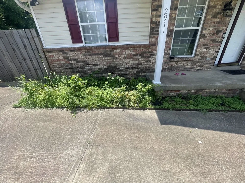 Professional landscaping services experts serving Nashville, TN - Elevated Roots