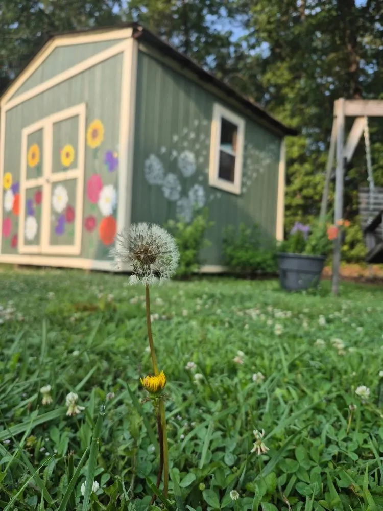 Reliable residential landscaping near you across Nashville, TN - Elevated Roots