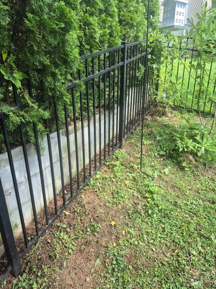 Top-rated residential landscaping in Nashville, TN - Elevated Roots