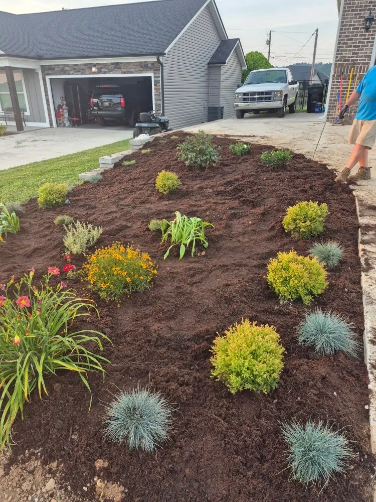 Custom yard maintenance experts serving Nashville, TN - Elevated Roots