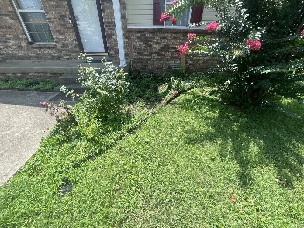 Professional yard cleanup service for outdoor upgrades in Nashville, TN by Elevated Roots