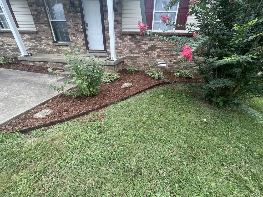 Local yard cleanup service for beautiful yards across Nashville, TN - Elevated Roots