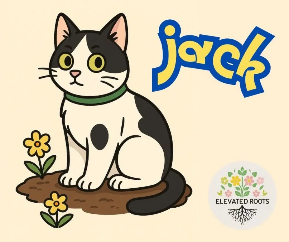 Expert lawn mowing service in Nashville, TN - Elevated Roots