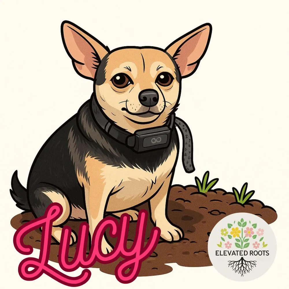 Affordable garden landscaping for residential properties across Nashville, TN - Elevated Roots