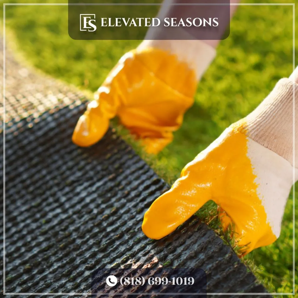Custom yard maintenance for beautiful yards across Studio City, CA - Elevated Seasons