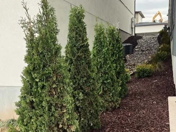 Reliable landscape design in West Valley City, UT by Elevated Utah Landscaping