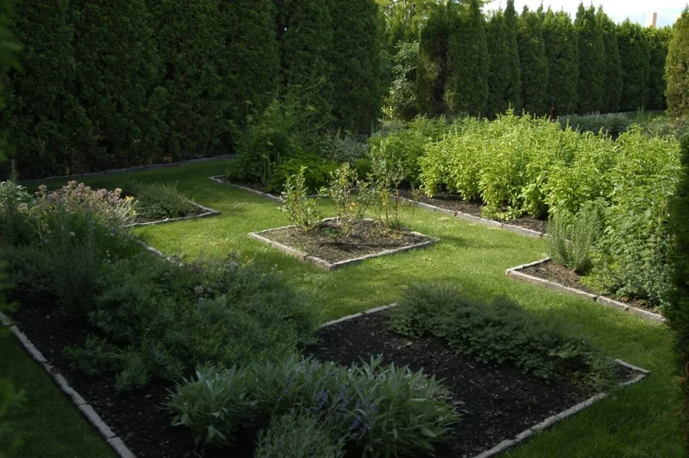 Expert lawn mowing service in Ellensburg, WA by Elevation contracting