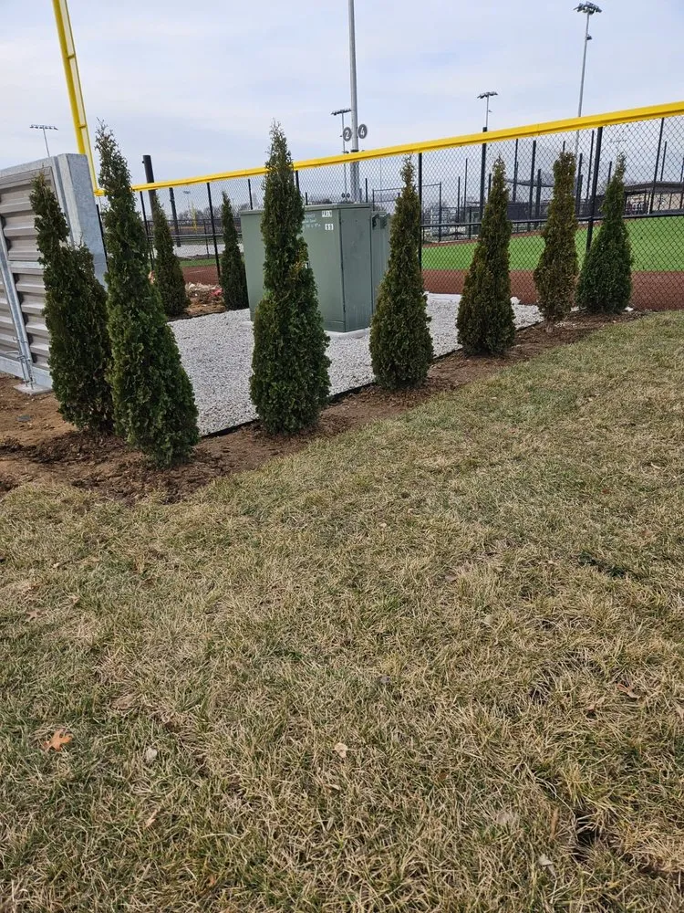 Expert yard cleanup service for beautiful yards in Belton, MO by Elevation Custom Landscapes