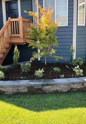 Trusted landscape design for outdoor upgrades in Dallas, TX by Elevation Landscape & Design