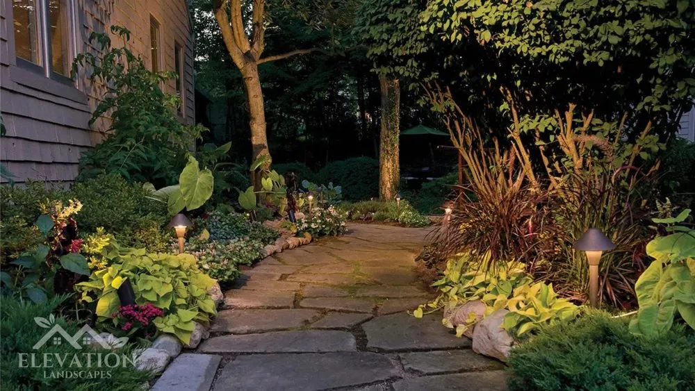 Professional landscaping services experts serving New Orleans, LA - Elevation Landscapes