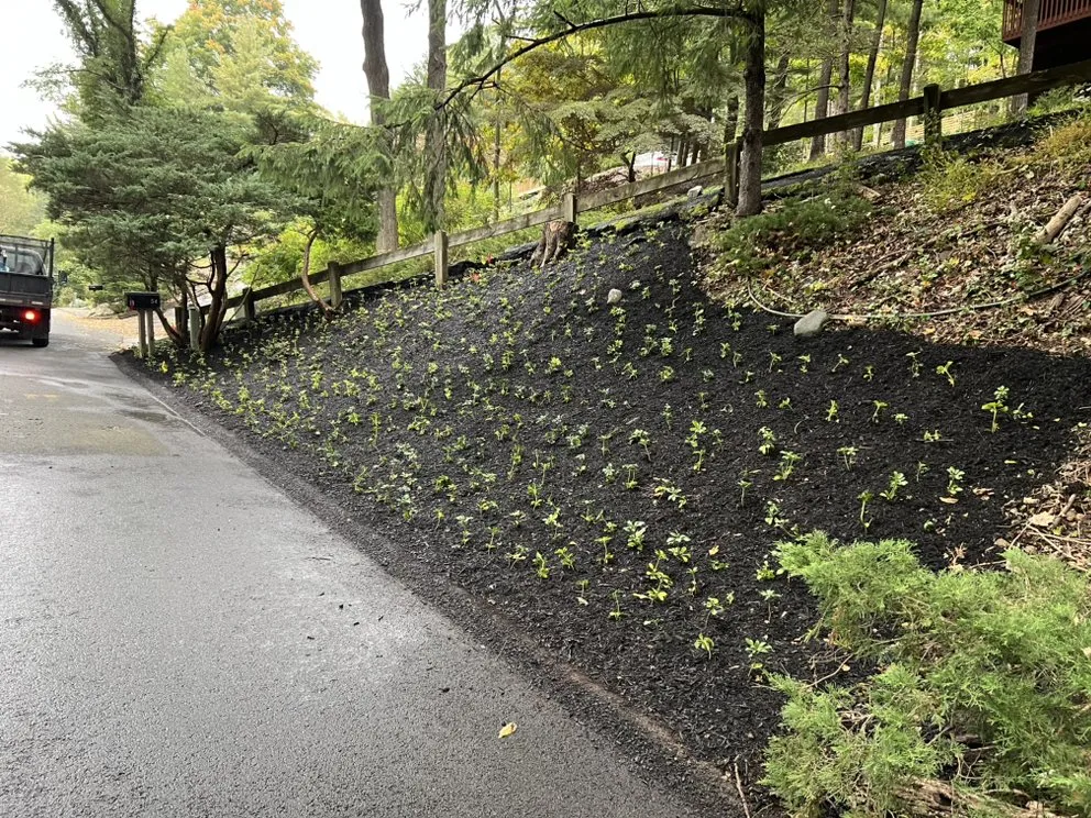 Trusted yard maintenance in Garnerville, NY by Elevation Landscaping