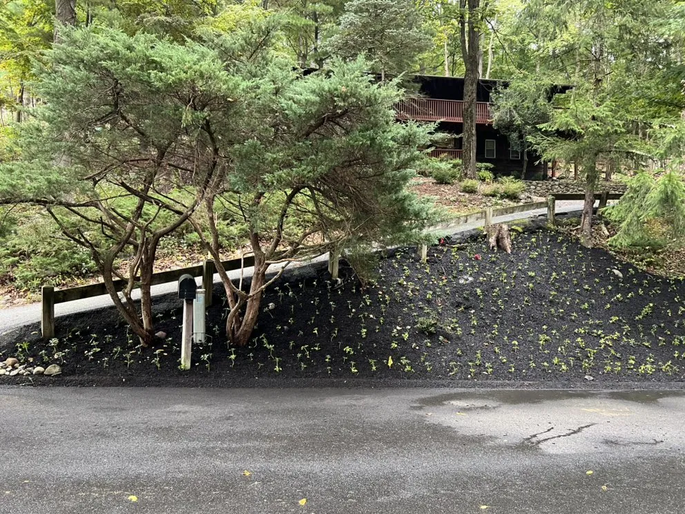 Top-rated landscape installation in Garnerville, NY - Elevation Landscaping