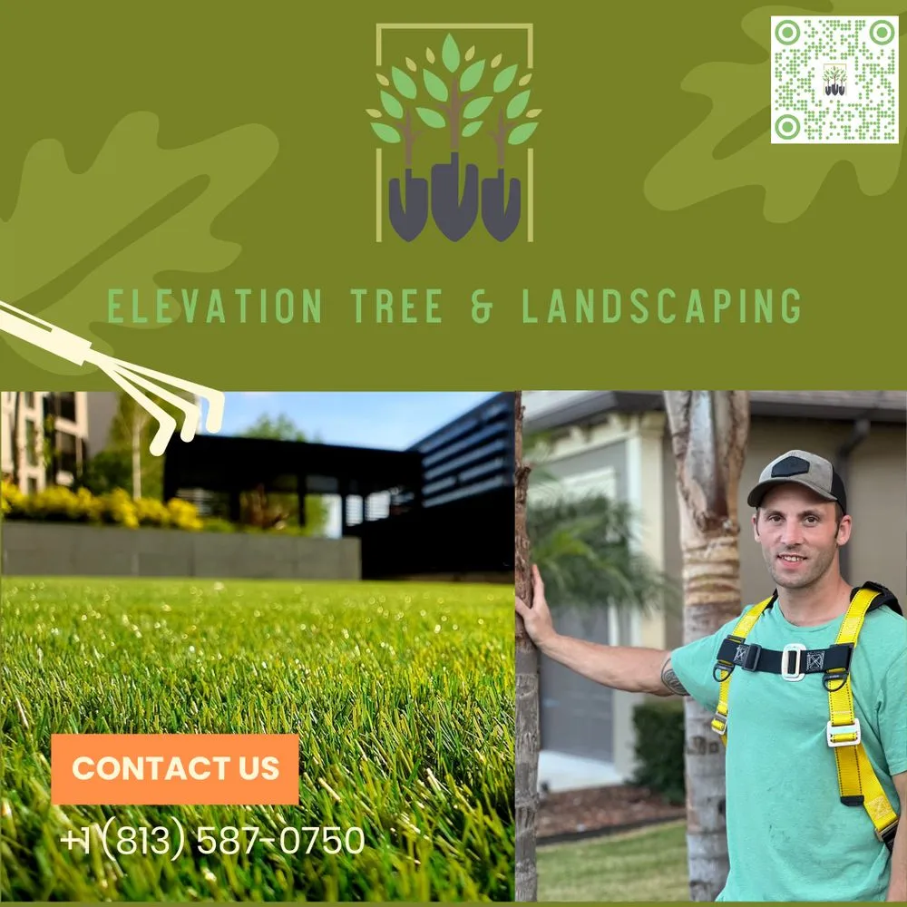 Reliable yard cleanup service in Wesley Chapel, FL - Elevation Tree & Landscaping