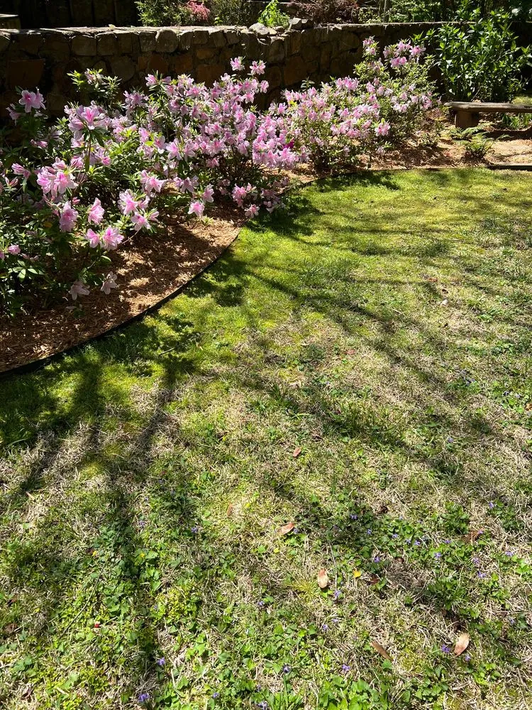 Trusted residential landscaping for beautiful yards in Sheridan, AR by Eleven Oaks Landscaping