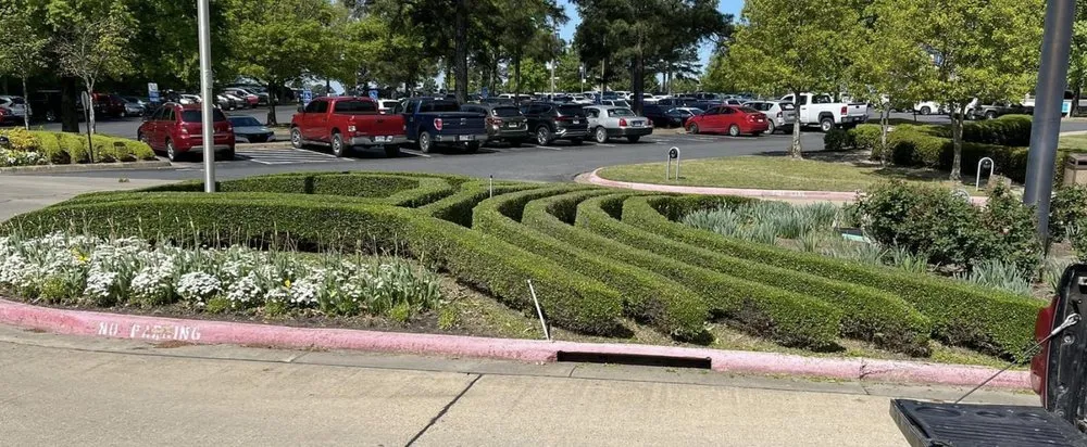 Professional yard maintenance for outdoor upgrades in Sheridan, AR by Eleven Oaks Landscaping