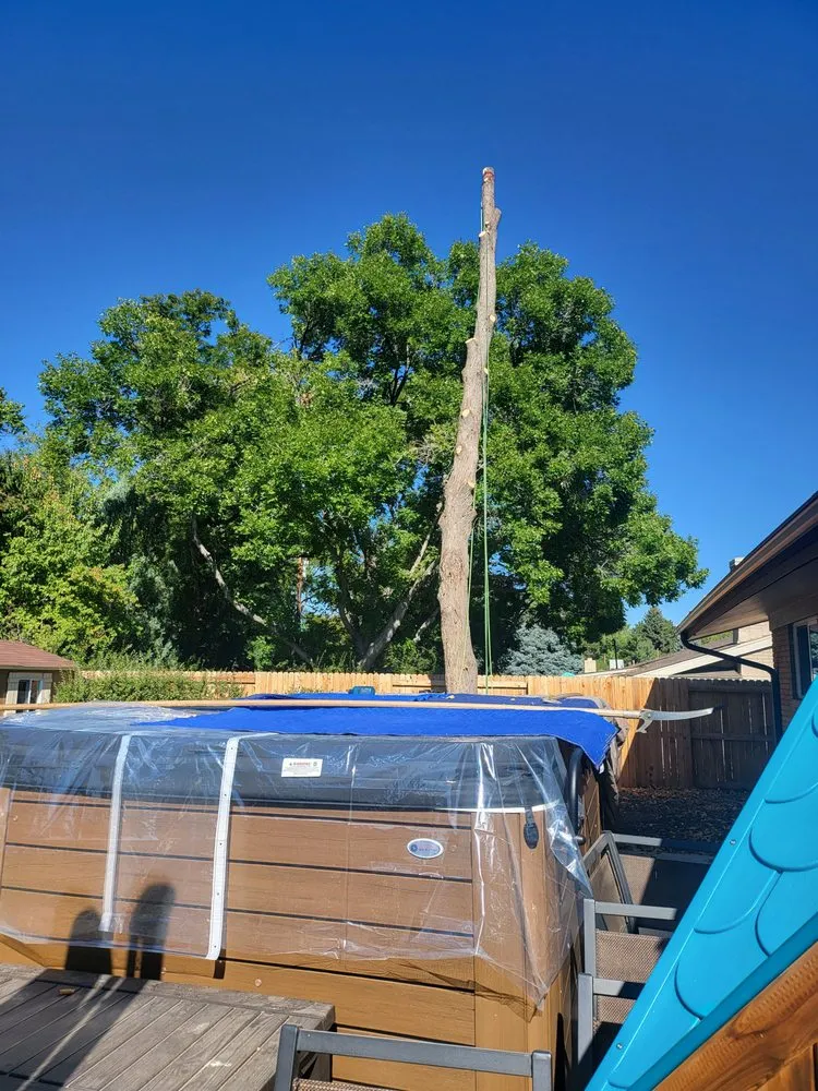 Top-rated landscape installation in Denver, CO - Elevent Landscaping/Tree Services