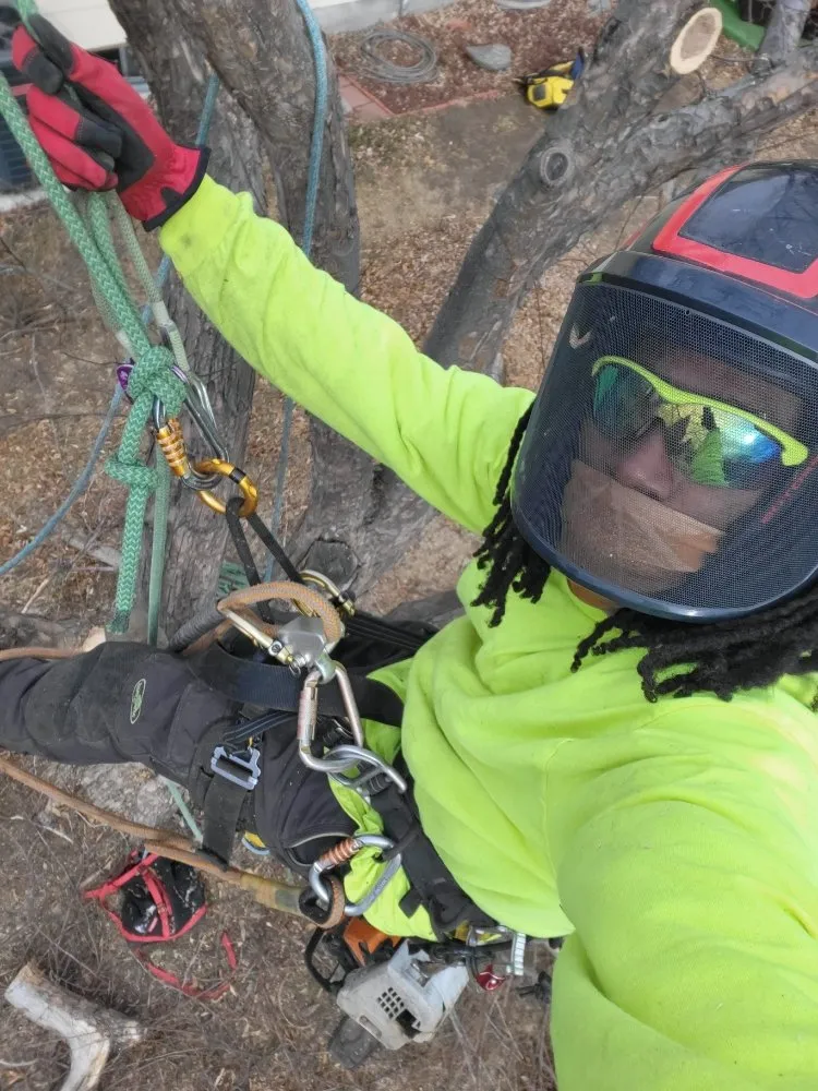 Top-rated landscape design for beautiful yards across Denver, CO - Elevent Landscaping/Tree Services