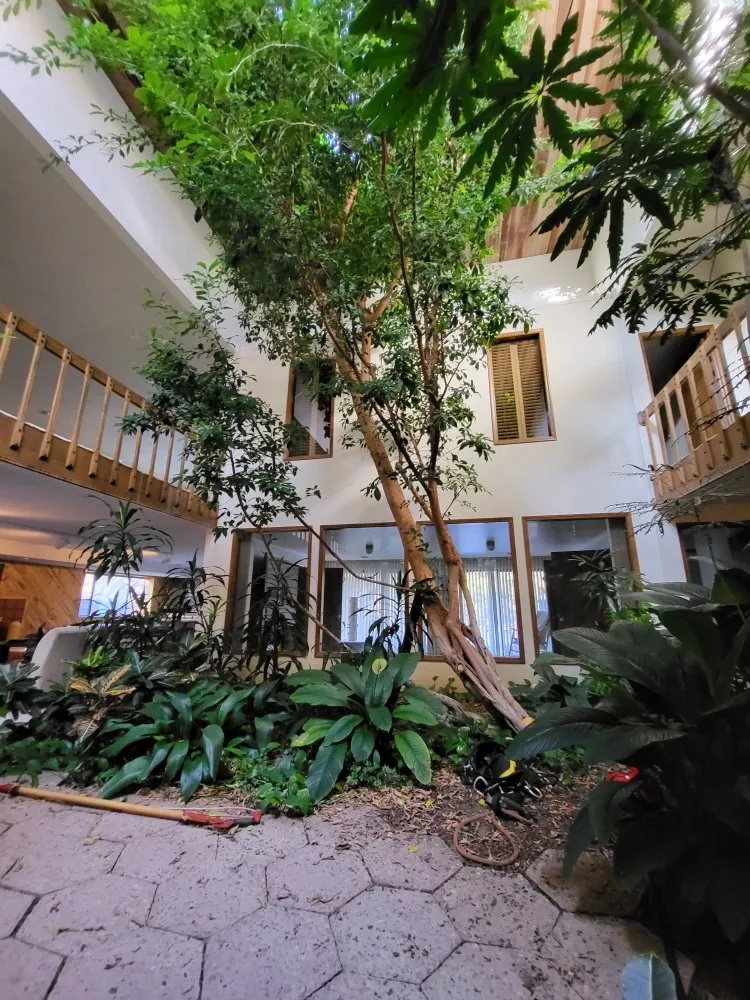 Custom landscaping services in Denver, CO - Elevent Landscaping/Tree Services