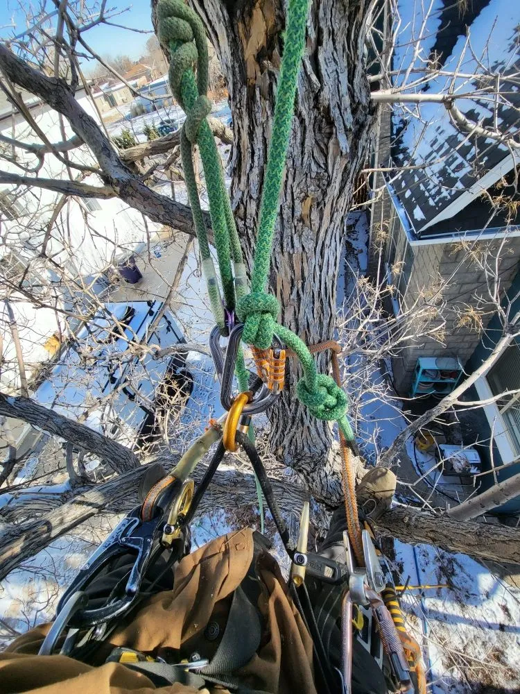 Reliable landscape design in Denver, CO - Elevent Landscaping/Tree Services