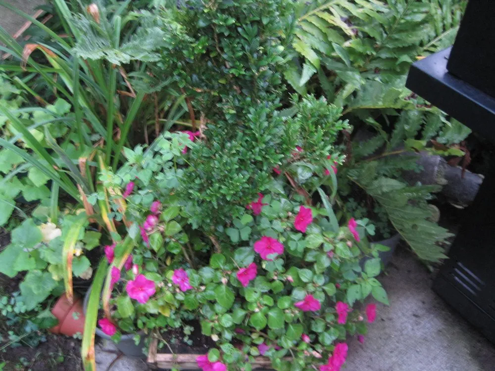 Professional garden landscaping near you in New Bedford, MA by Elf's Landscape