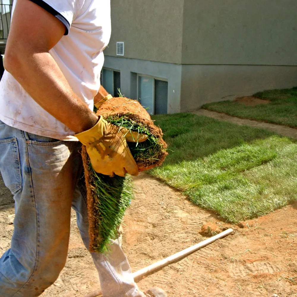 Reliable garden landscaping experts serving Manor, TX - Elgin Landscaping, Tree & Lawn