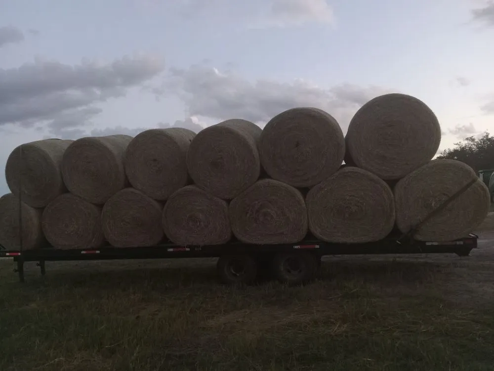 Local landscape installation experts serving Wauchula, FL - ELH Farms