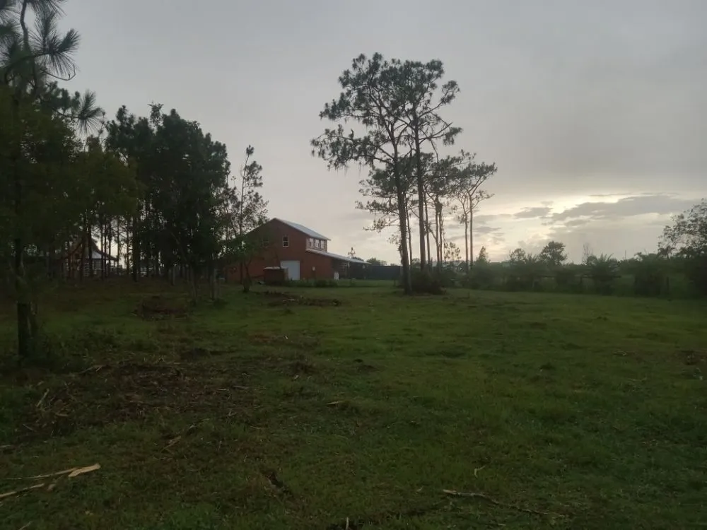 Professional yard maintenance for outdoor upgrades across Wauchula, FL - ELH Farms