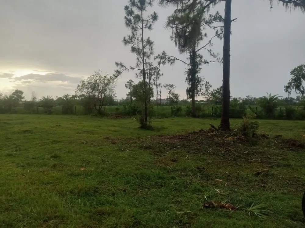 Professional yard maintenance in Wauchula, FL by ELH Farms