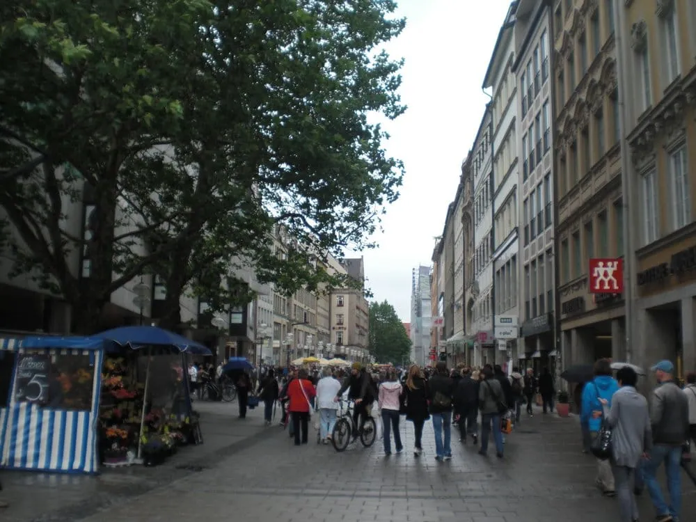 Professional outdoor landscaping for beautiful yards in Hemet, CA by Eli Duran Concrete