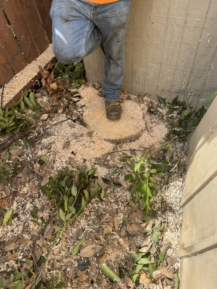 Professional landscape design for year-round maintenance across Garden Grove, CA - Eli Landscaping