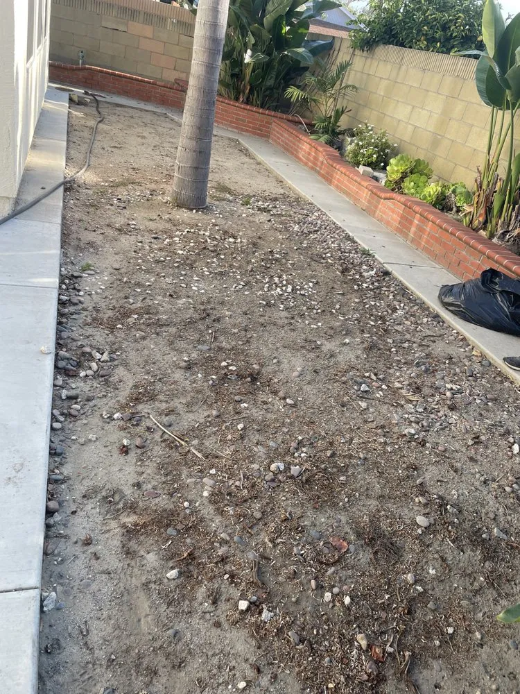 Professional lawn mowing service experts serving Garden Grove, CA - Eli Landscaping