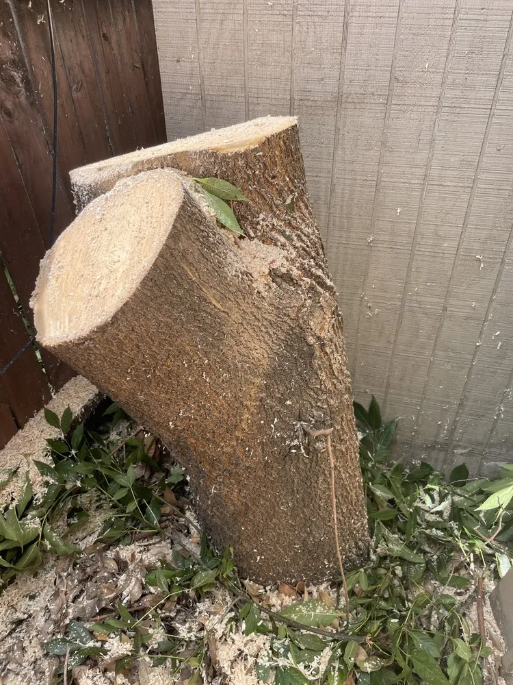 Reliable landscape installation in Garden Grove, CA by Eli Landscaping