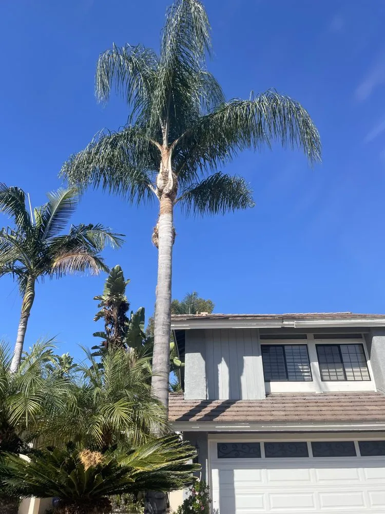 Professional landscaping services in Garden Grove, CA - Eli Landscaping