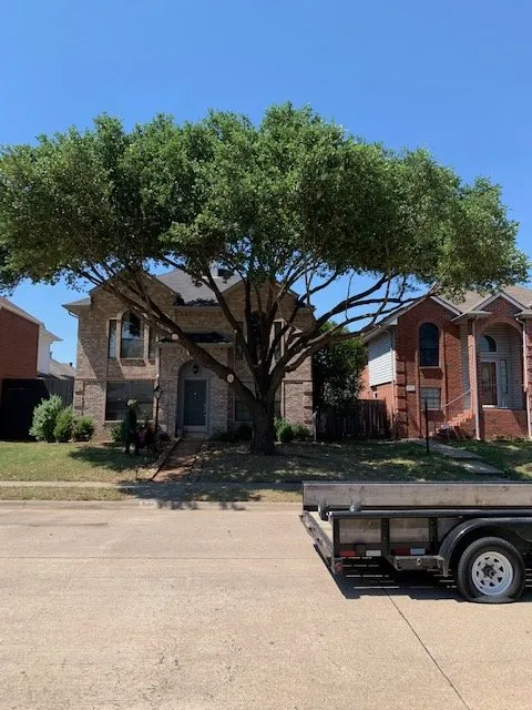Local outdoor landscaping in Lewisville, TX by Eli Landscaping