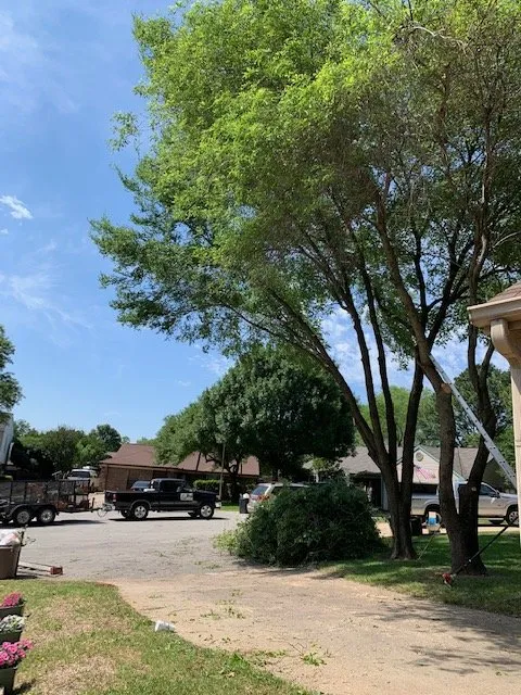 Expert garden landscaping near you across Lewisville, TX - Eli Landscaping