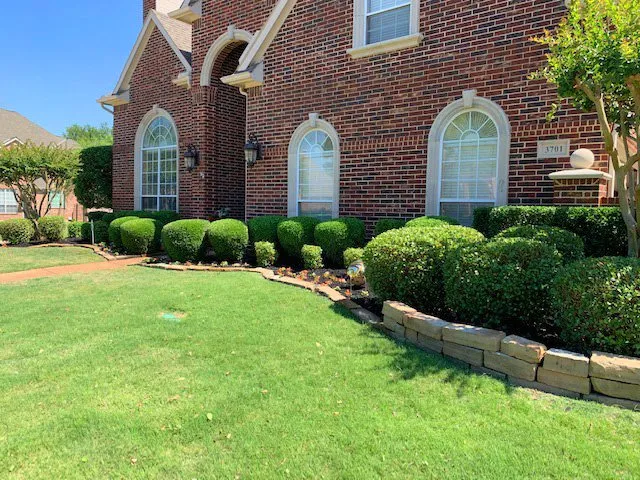 Trusted yard maintenance for outdoor upgrades across Lewisville, TX - Eli Landscaping