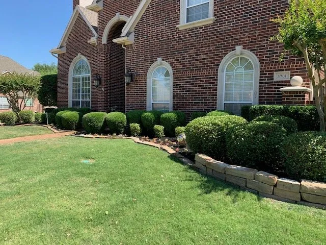 Trusted yard maintenance in Lewisville, TX - Eli Landscaping