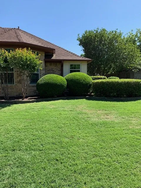 Trusted landscaping services for year-round maintenance in Lewisville, TX by Eli Landscaping