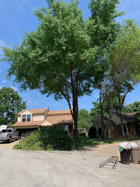 Reliable outdoor landscaping in Lewisville, TX by Eli Landscaping