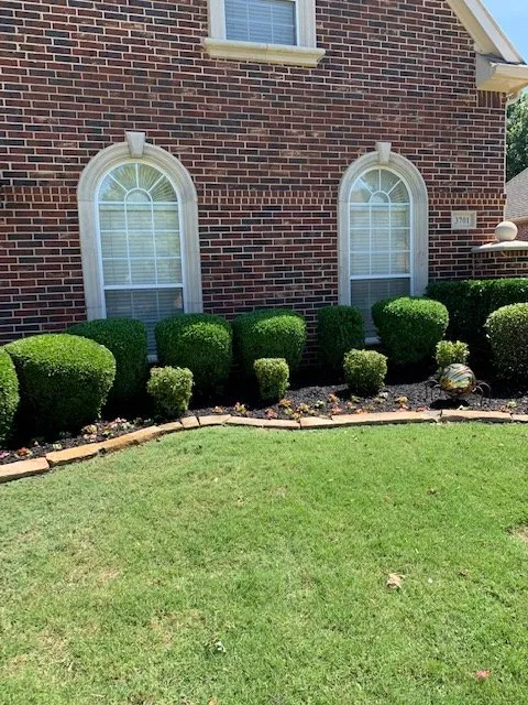 Expert yard cleanup service in Lewisville, TX - Eli Landscaping