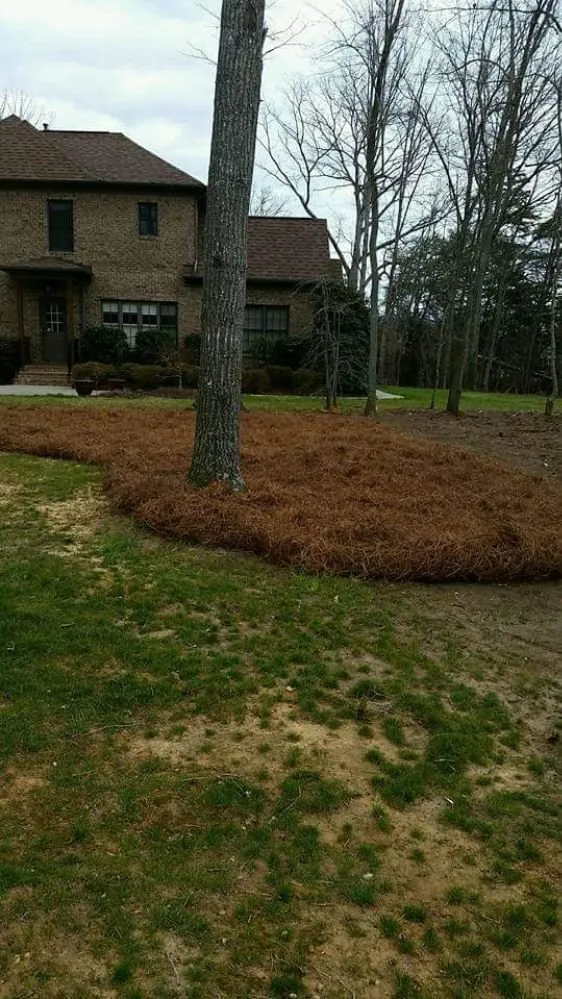 Top-rated lawn mowing service in Thomasville, NC - Eli Professional Services