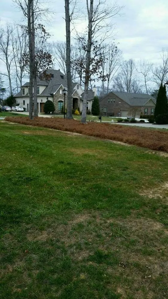 Top-rated yard maintenance experts serving Thomasville, NC - Eli Professional Services