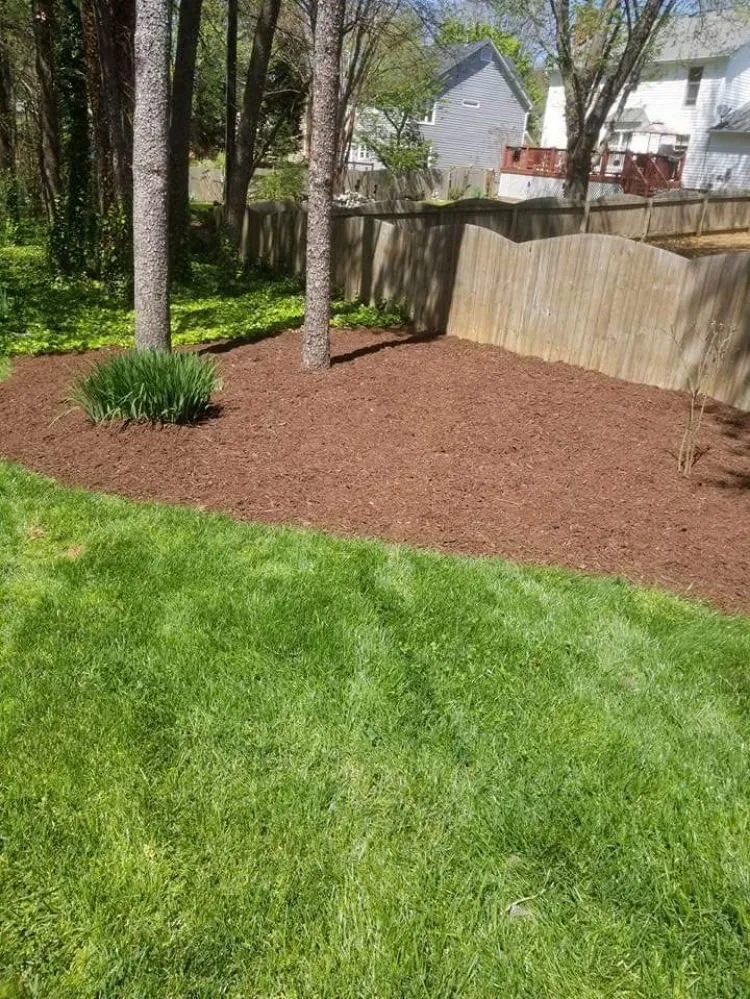 Trusted landscaping services for homes in Thomasville, NC by Eli Professional Services