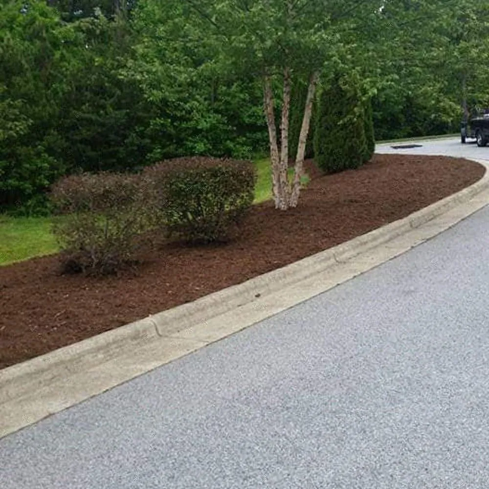 Trusted landscape installation for beautiful yards across Thomasville, NC - Eli Professional Services