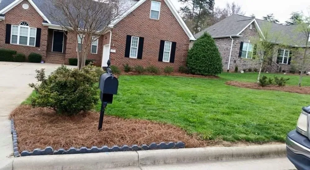 Top-rated residential landscaping in Thomasville, NC by Eli Professional Services