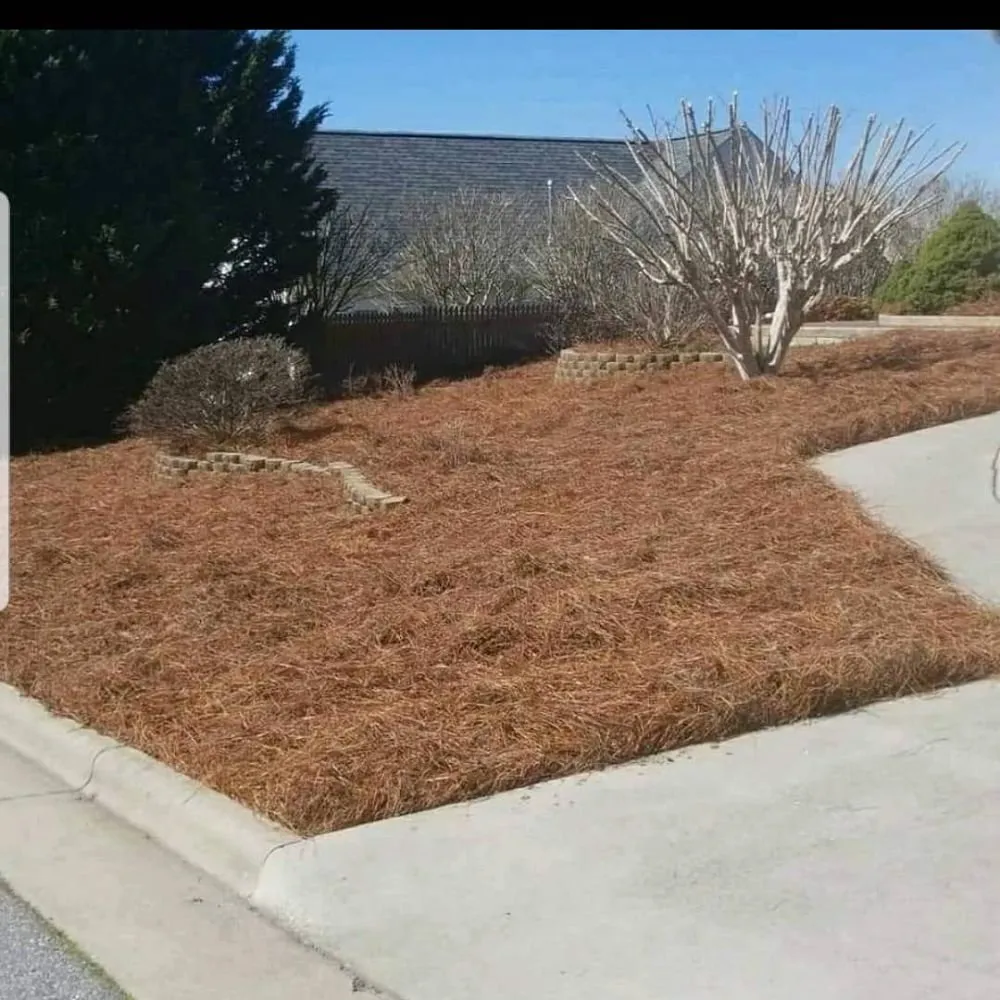 Trusted yard maintenance for residential properties in Thomasville, NC by Eli Professional Services