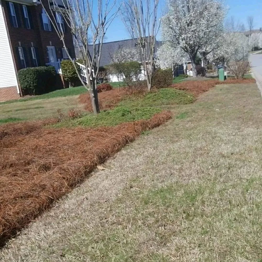 Professional garden landscaping in Thomasville, NC - Eli Professional Services