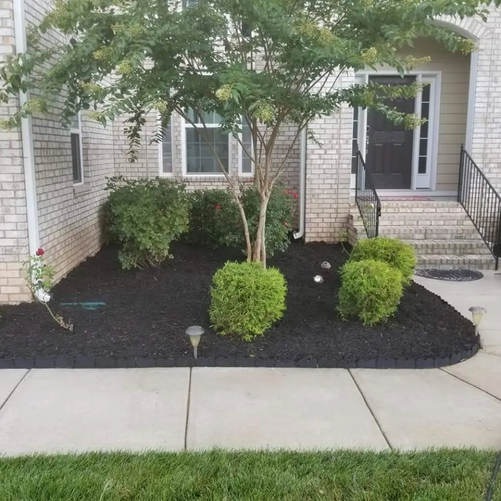 Top-rated outdoor landscaping experts serving Thomasville, NC - Eli Professional Services