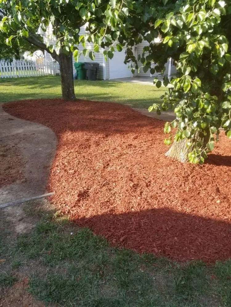 Custom landscape design near you in Thomasville, NC by Eli Professional Services