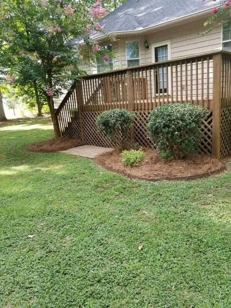 Local yard maintenance with custom design across Thomasville, NC - Eli Professional Services